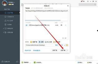 链接无码迅雷下载,轻松获取热门资源的一站式平台