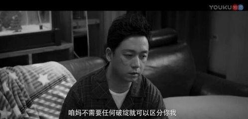 网络追凶在线播放,揭秘网络犯罪背后的惊心动魄