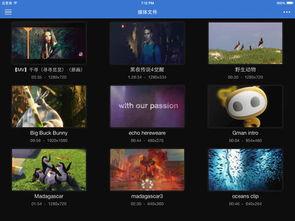 无码影音先锋影院,揭秘网络影视世界的秘密角落
