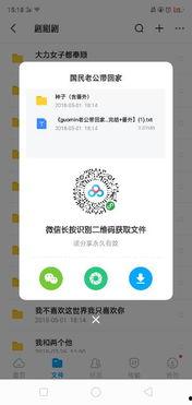 网盘国民老公带回家,霸道总裁的甜蜜宠爱记