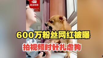 小胖科学家最新爆料,前沿科技突破背后的惊人内幕