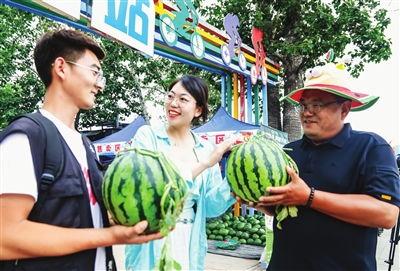 瓜田喜事在线免费观看,免费畅享乡村爱情喜剧盛宴