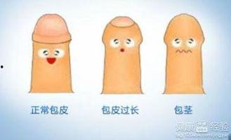 世界上最长的阴茎无码,令人惊叹的生理奇迹