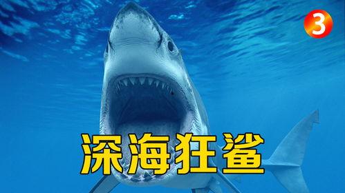 三头巨鲨免费观看,免费惊悚盛宴，深海恐怖来袭！