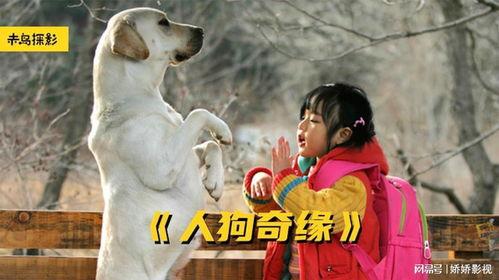 人狗奇缘免费观看,免费观看，温情共度美好时光