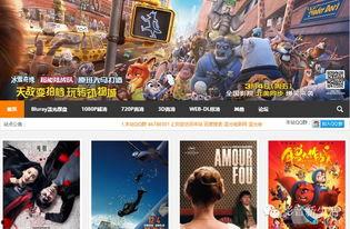 完熟无码磁力下载,探索网络资源的秘密通道