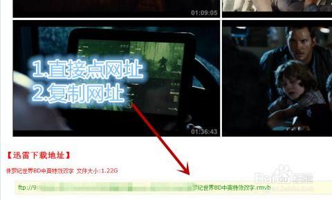 AV综艺 迅雷下载,热门影视资源一网打尽