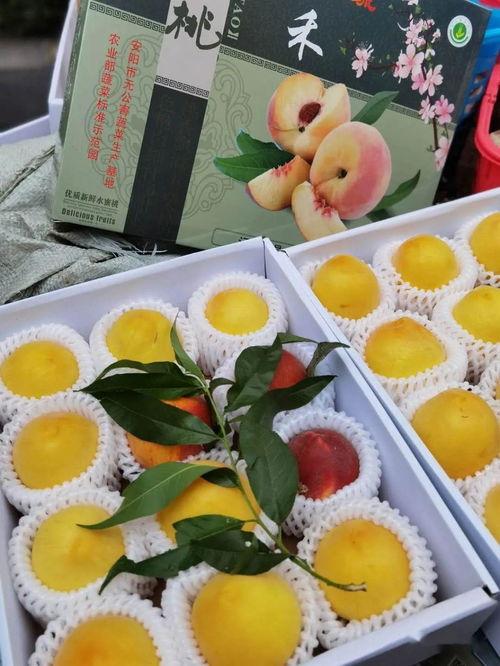 娱乐吃瓜的封面怎么做的,创意与技巧的完美融合